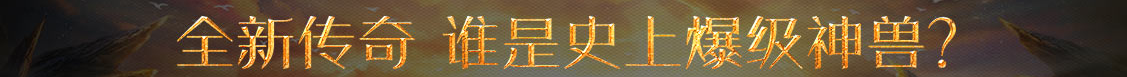 基金管理外汇行